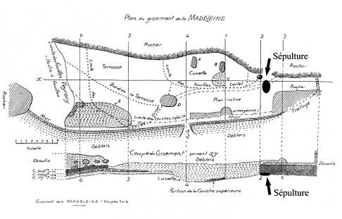 Plan du gisement de la Madeleine avec positionnement du squelette