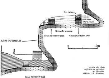Coupe de l'abri du Moustier 