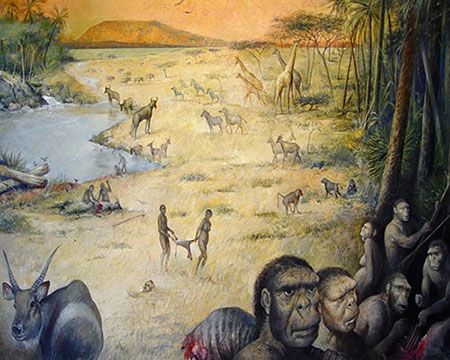 Reconstitution de l'environnement et de la faune d'Olduvai en Tanzanie