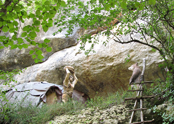 Un ours des cavernes près de chez vous