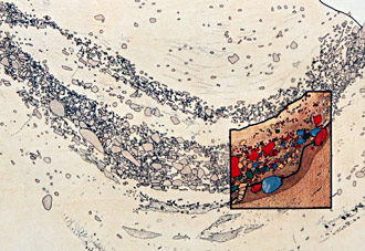 Coupe Stratigraphique