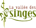 La Vallée des singes