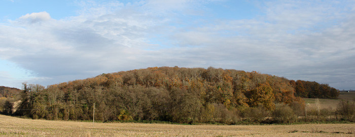 Site archéologique de Brassempouy