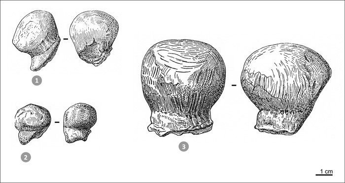 Visages simplifiés du Gravettien