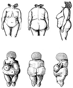 Comparaison morphologie entre Mme Willendorf et Mme Dupont - Duhard