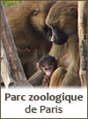 Zoo de Paris - Vincennes