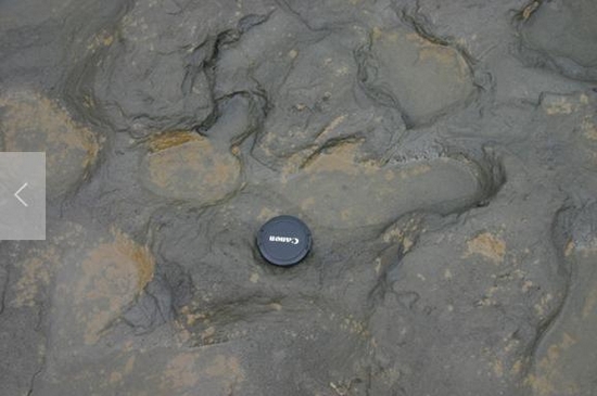 À qui appartiennent ces empreintes de pieds vieilles de 300 000 ans ?