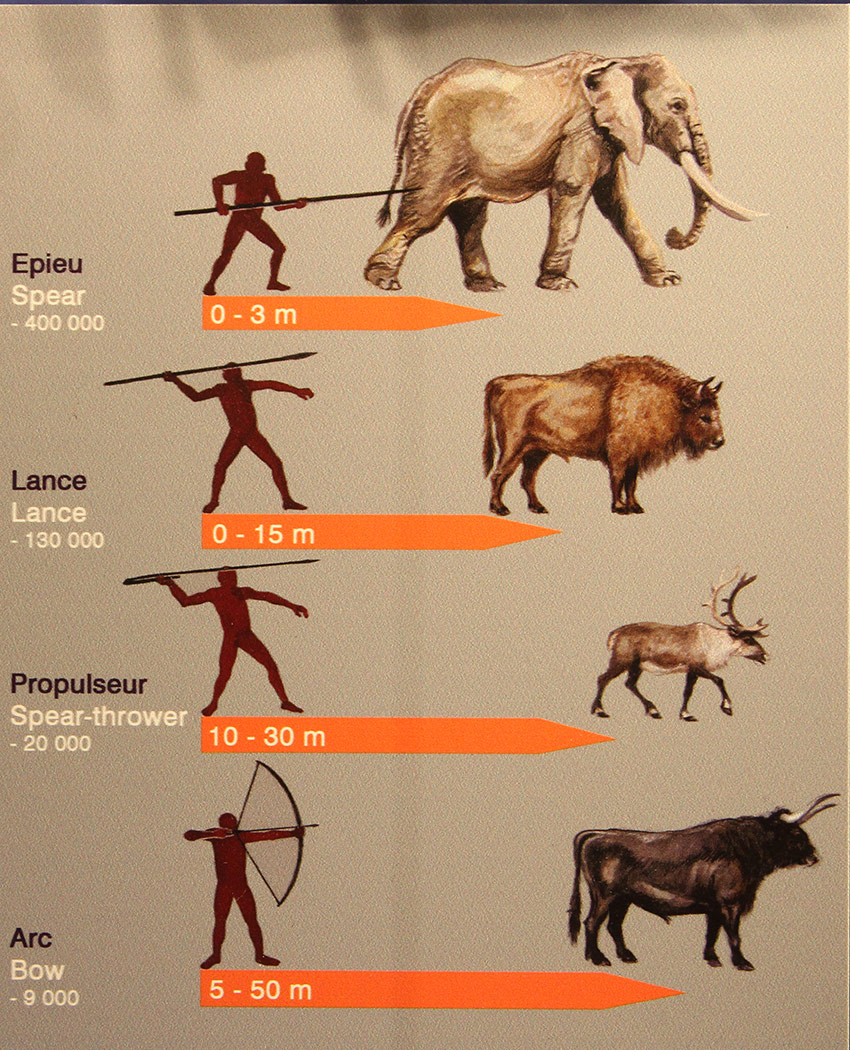 Top 10 des animaux préhistoriques badass qui ne sont pas des