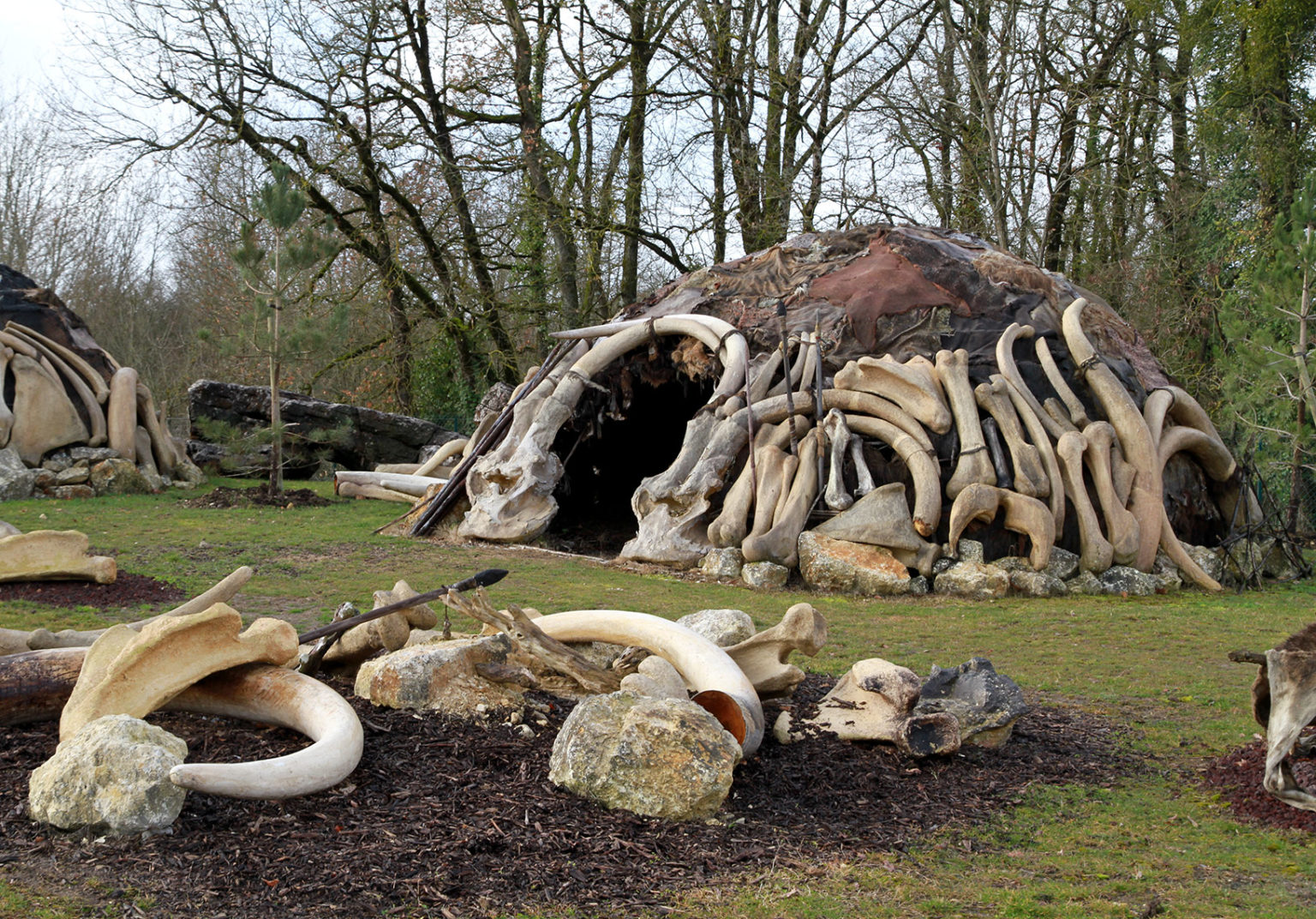 L'habitat Au Paléolithique - Hominides