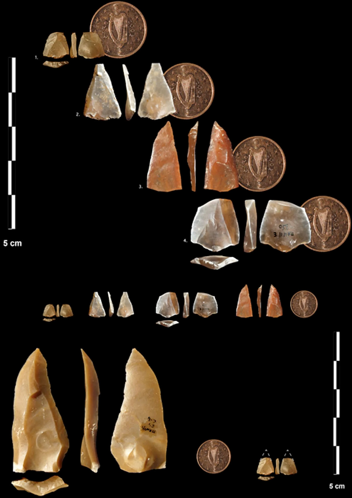 Des flèches de 54 000 ans en France - Hominides