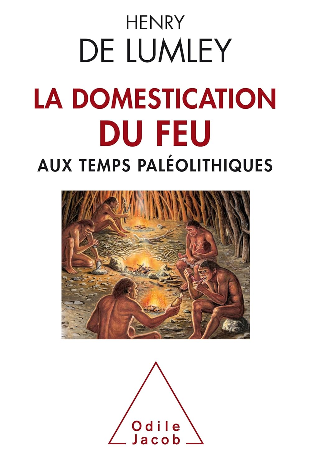 La domestication du feu aux temps paléolithiques