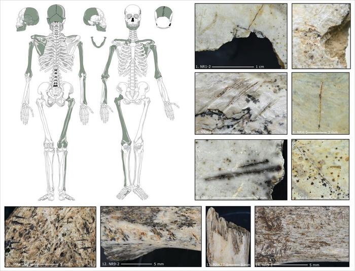 Des preuves de cannibalisme en Pologne au Magdalénien